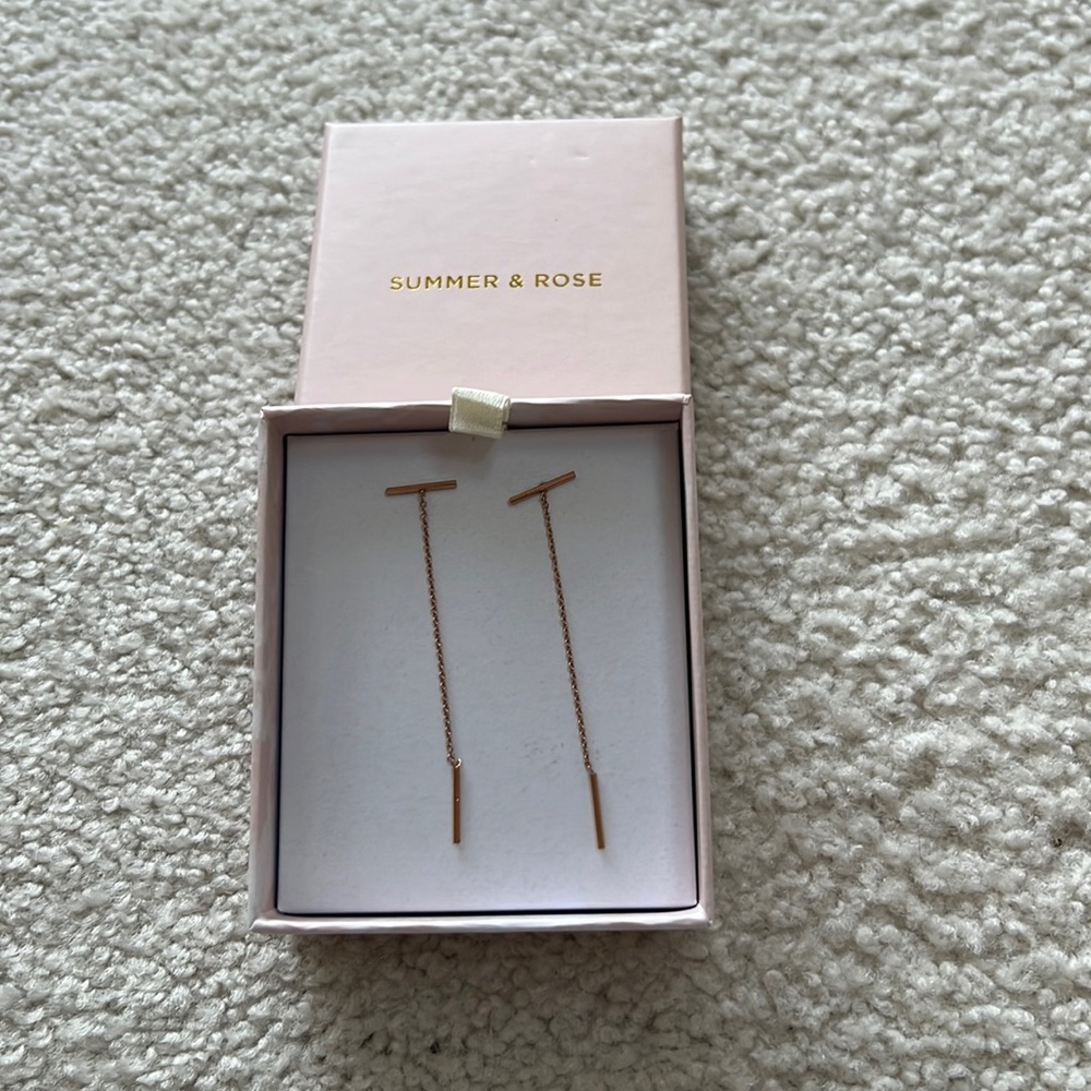 Earrings (never worn)
